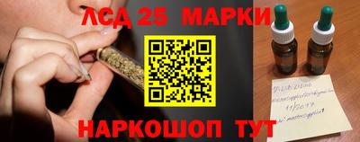 Альфа ПВП Жуковский