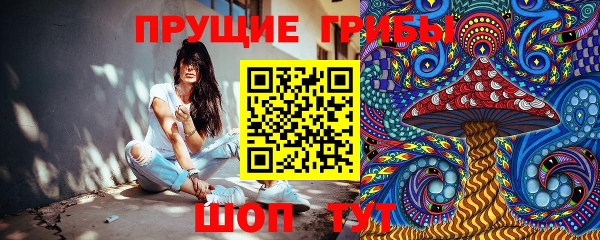 Псилоцибиновые грибы прущие грибы Сургут