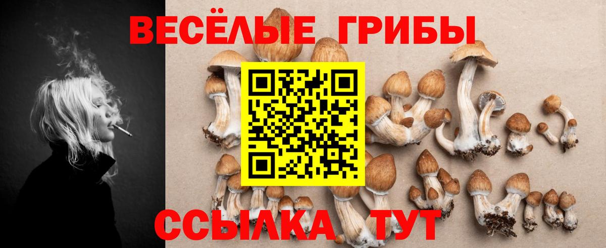 Псилоцибиновые грибы Cubensis  Вход с VPN  Сургут 