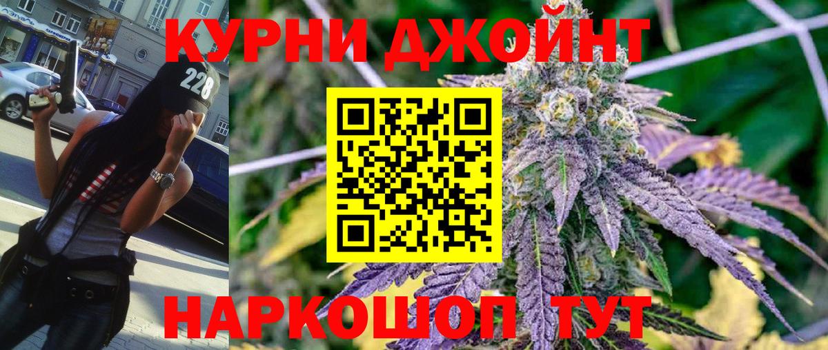 Каннабис сатива Сургут